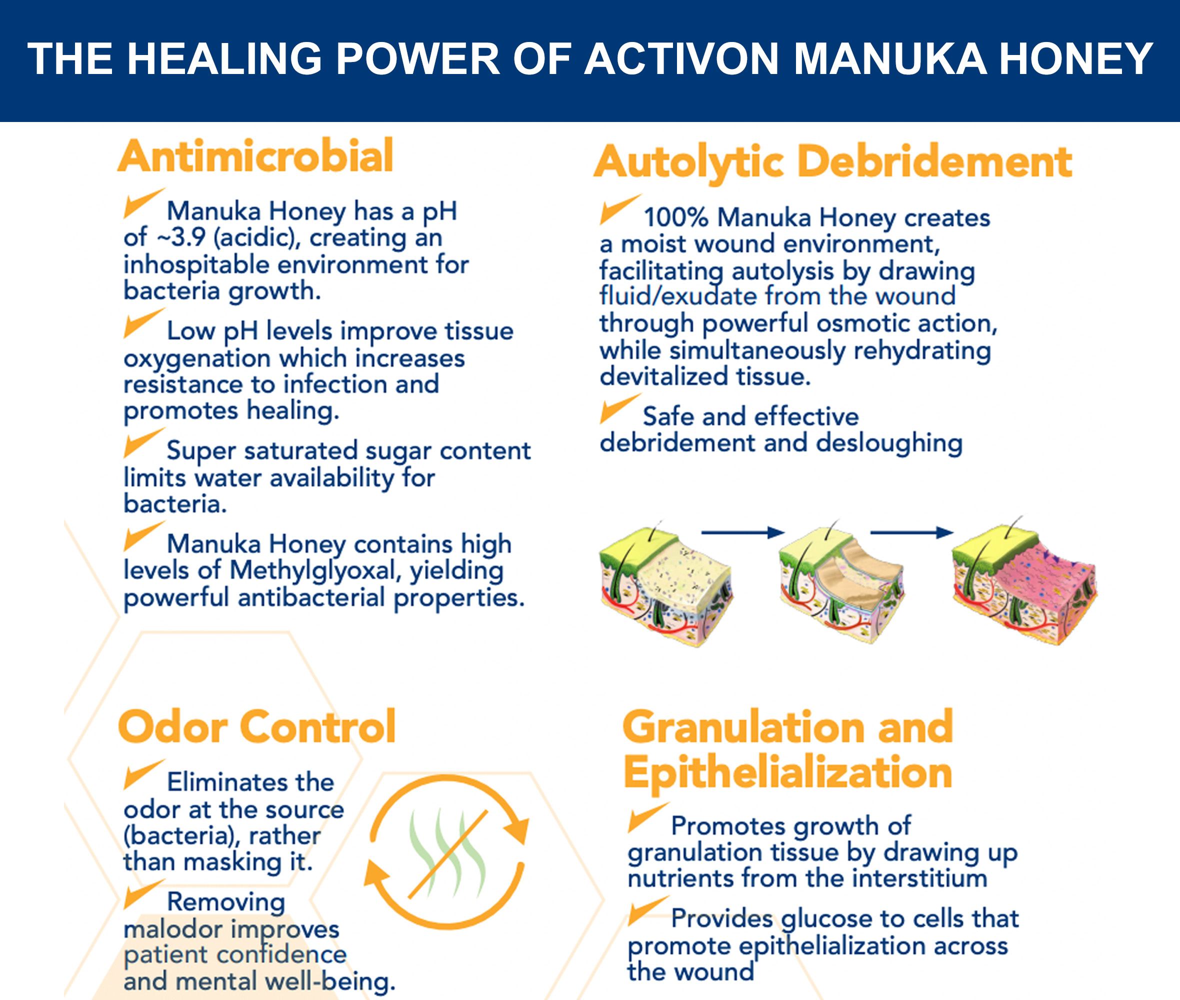 Explaination of Activion Manuka Honey